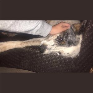 Meet your Posher, Kylie